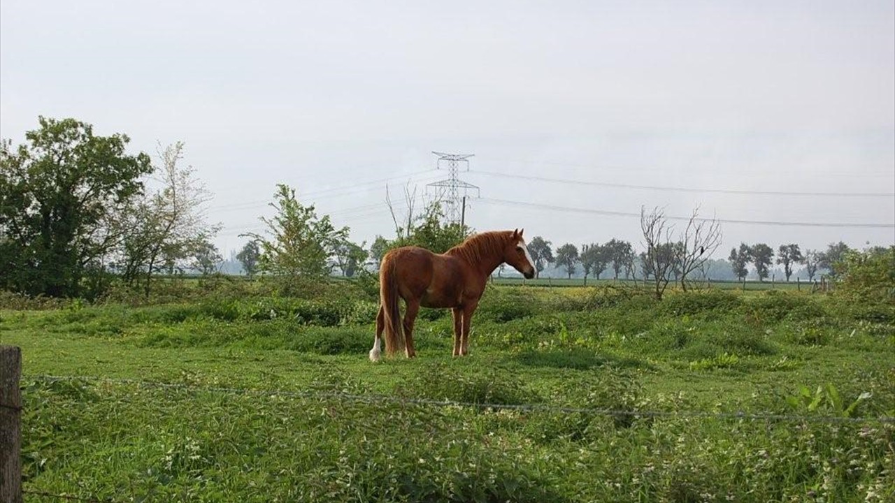 DSC_0025