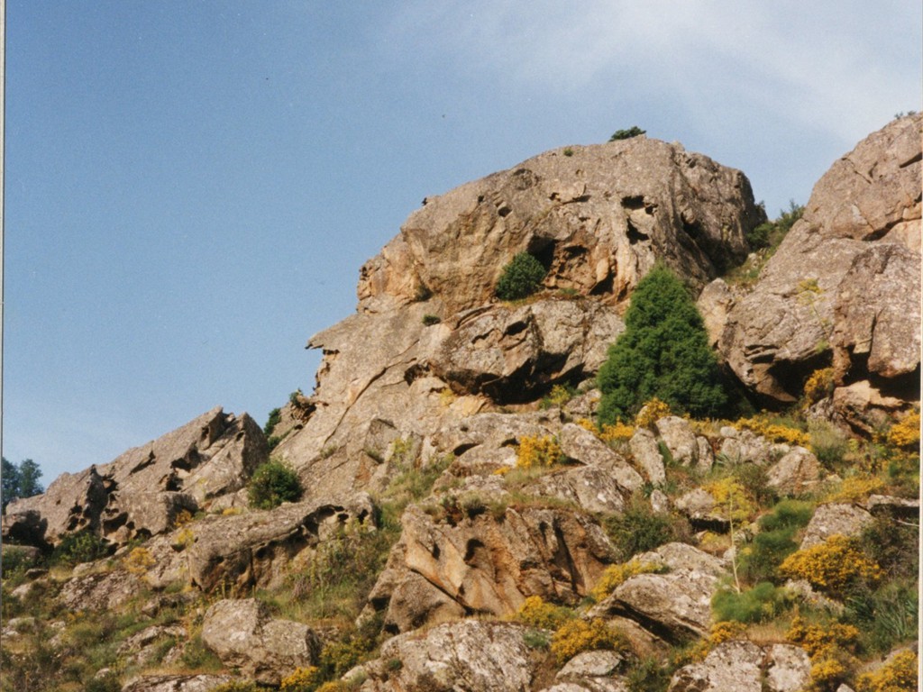 Corse 54