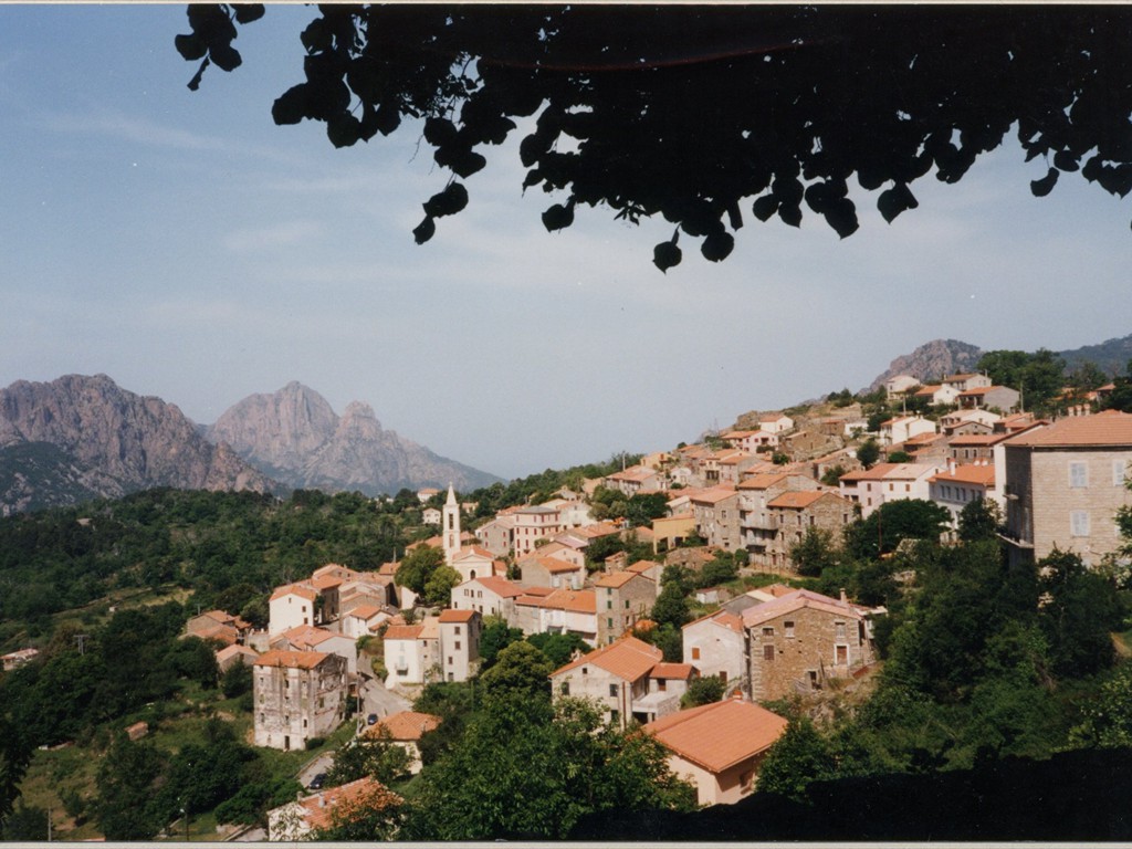 Corse 64