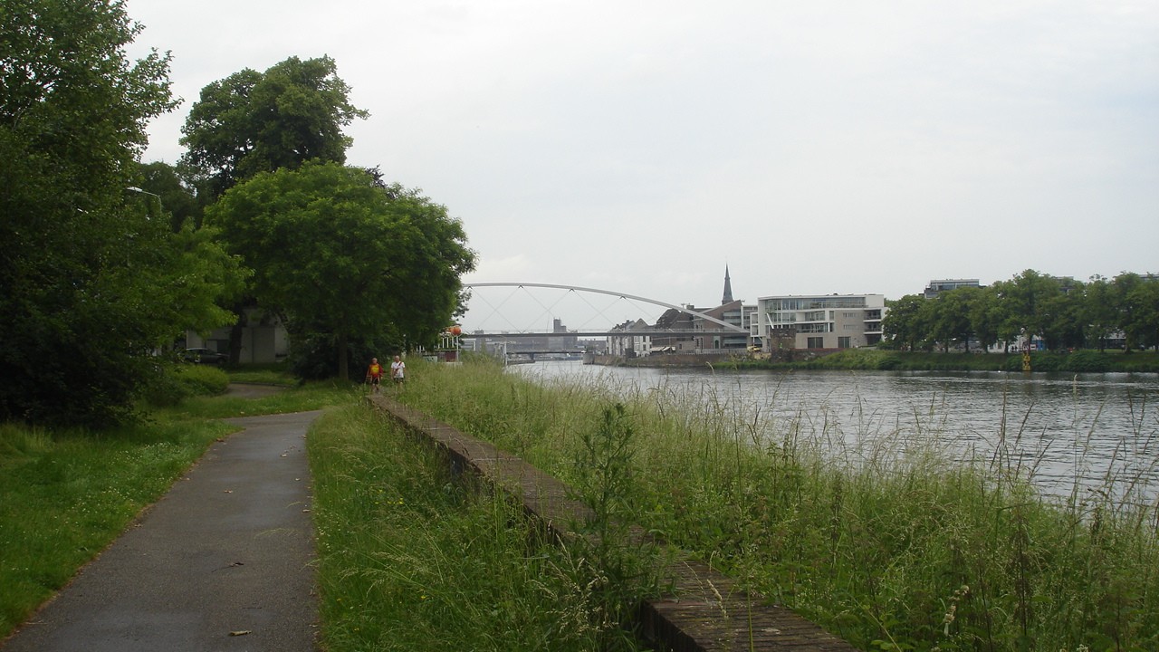 DSC03254