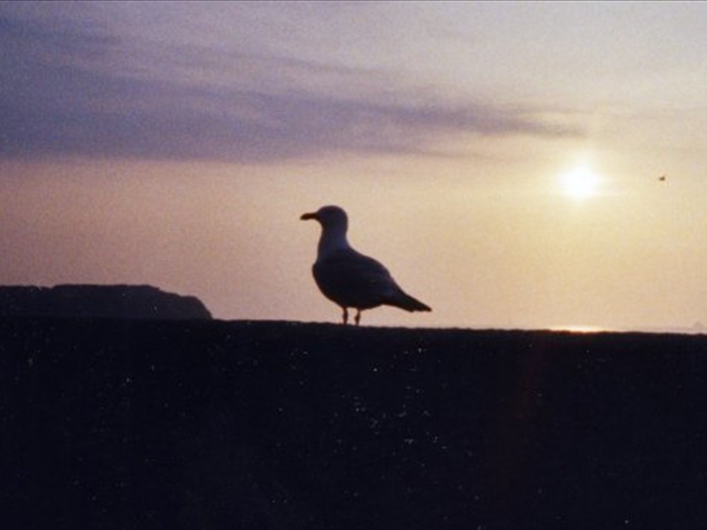 photo1