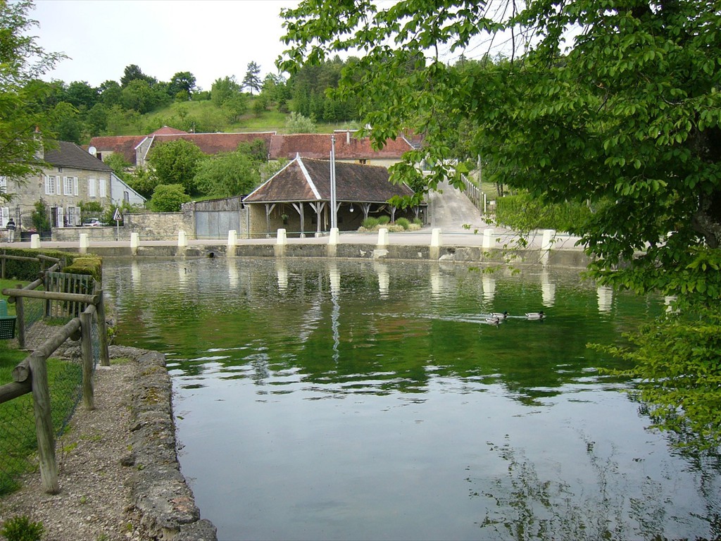 Image6